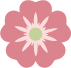 flower icon