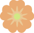 flower icon